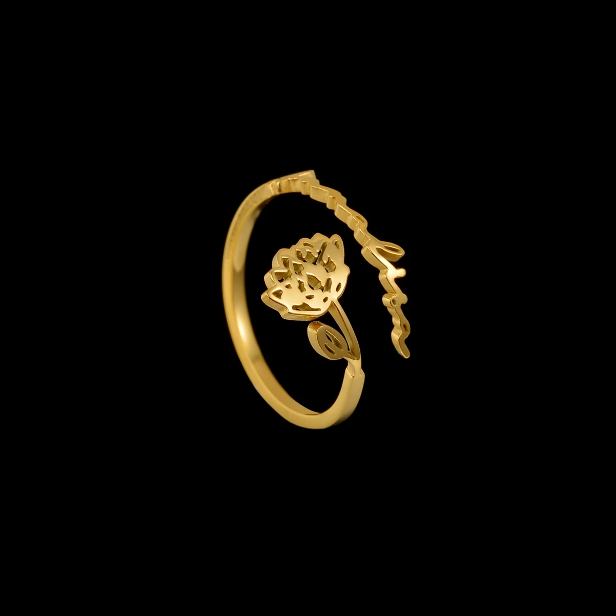 New Custom Name Month Flower Ring Stainless Steel Gold Letter Adjustable Jewelry Hand Circle for Women Birthday Gift
New Custom Name Month Flower Ring Stainless Steel Gold Letter Adjustable Jewelry Hand Circle for Women Birthday Gift