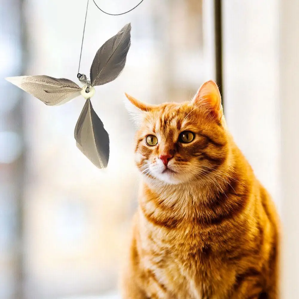2023 New Cat Toys Black Long Rod Steel Wire Bell Handheld Interactive Cat Windmill Stick Cat Cat Supplies Feather C1C9
2023 New Cat Toys Black Long Rod Steel Wire Bell Handheld Interactive Cat Windmill Stick Cat Cat Supplies Feather C1C9