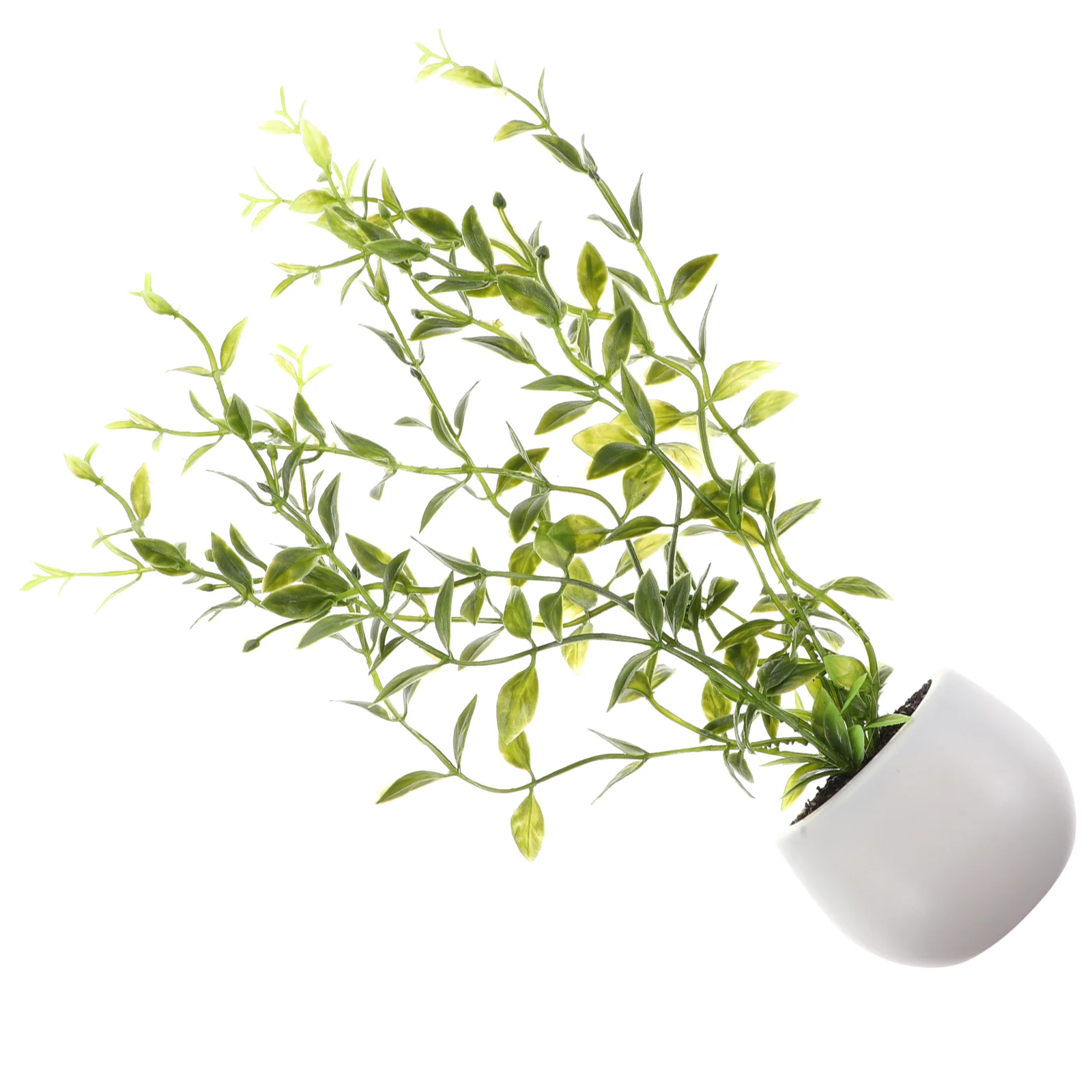Artificial Plants Bonsai Fridge Magnet Refrigerator Magnet Fridge Decoration Bonsai Refrigerator Magnet
Artificial Plants Bonsai Fridge Magnet Refrigerator Magnet Fridge Decoration Bonsai Refrigerator Magnet