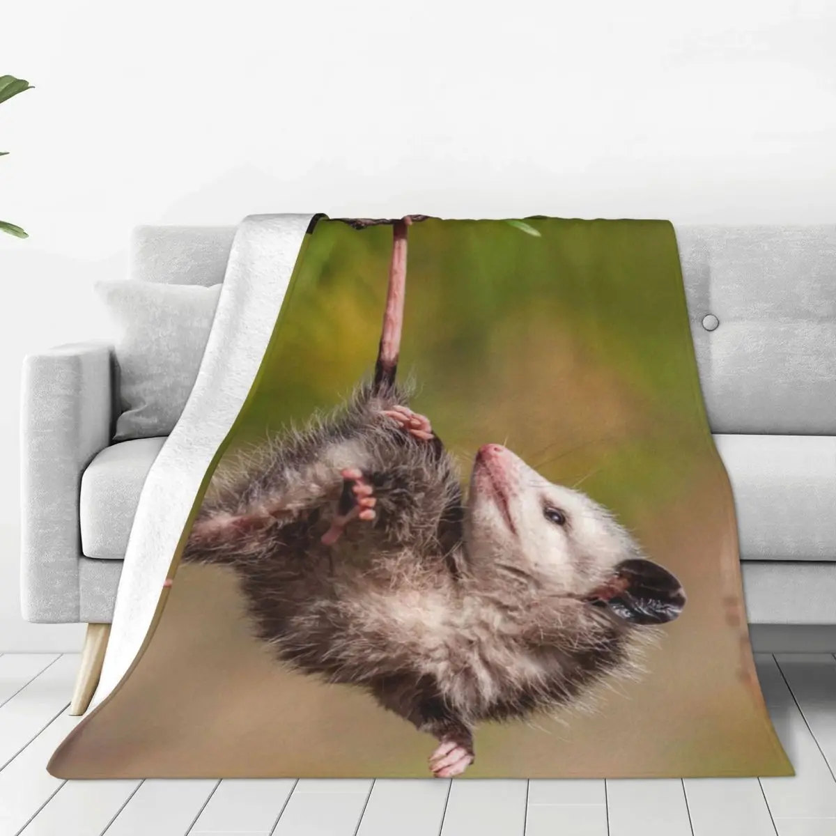 Possum Opossum Animal Blanket Coral Fleece Plush Summer Air Conditioning Breathable Throw Blankets for Bed Office Rug Piece
Possum Opossum Animal Blanket Coral Fleece Plush Summer Air Conditioning Breathable Throw Blankets for Bed Office Rug Piece