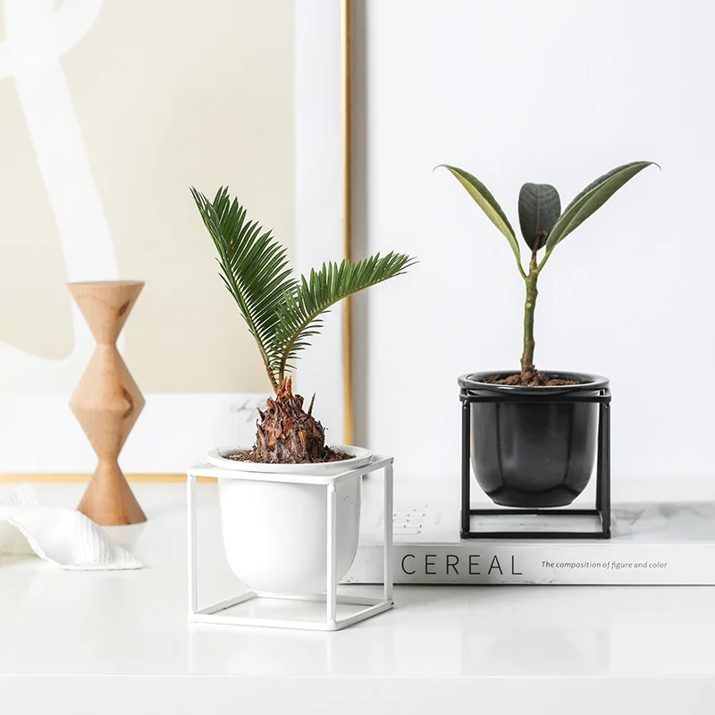 Creative Succulent Plant Flower Pot Wrought Iron Succulent FlowerPot Ceramic Planter Pot Small Green Plant Flowerpot Home Decor
Creative Succulent Plant Flower Pot Wrought Iron Succulent FlowerPot Ceramic Planter Pot Small Green Plant Flowerpot Home Decor