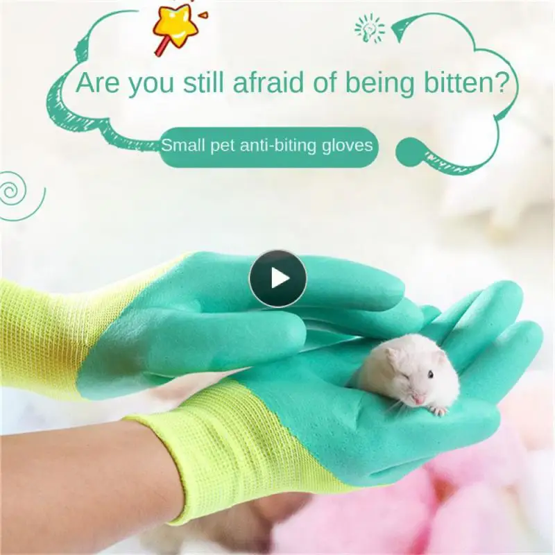 Training Set Exquisite Workmanship. Suitable For Various Humid Environment Operations Hamster Supplies Rubber Glove
Training Set Exquisite Workmanship. Suitable For Various Humid Environment Operations Hamster Supplies Rubber Glove