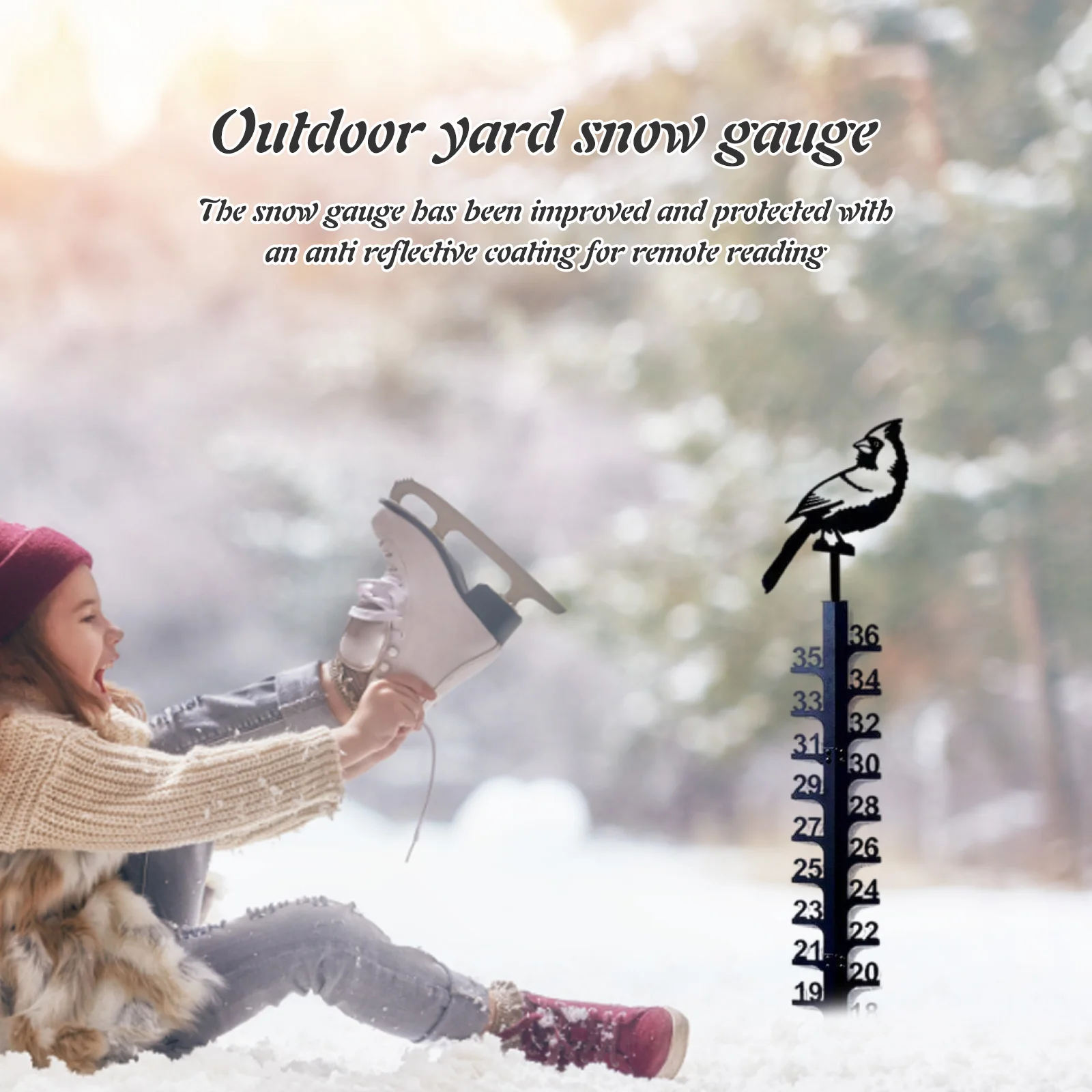 Железная весовка для измерения снега, погодозащищенное устройство для измерения снега, точные весы, декор для сада
Железная весовка для измерения снега, погодозащищенное устройство для измерения снега, точные весы, декор для сада