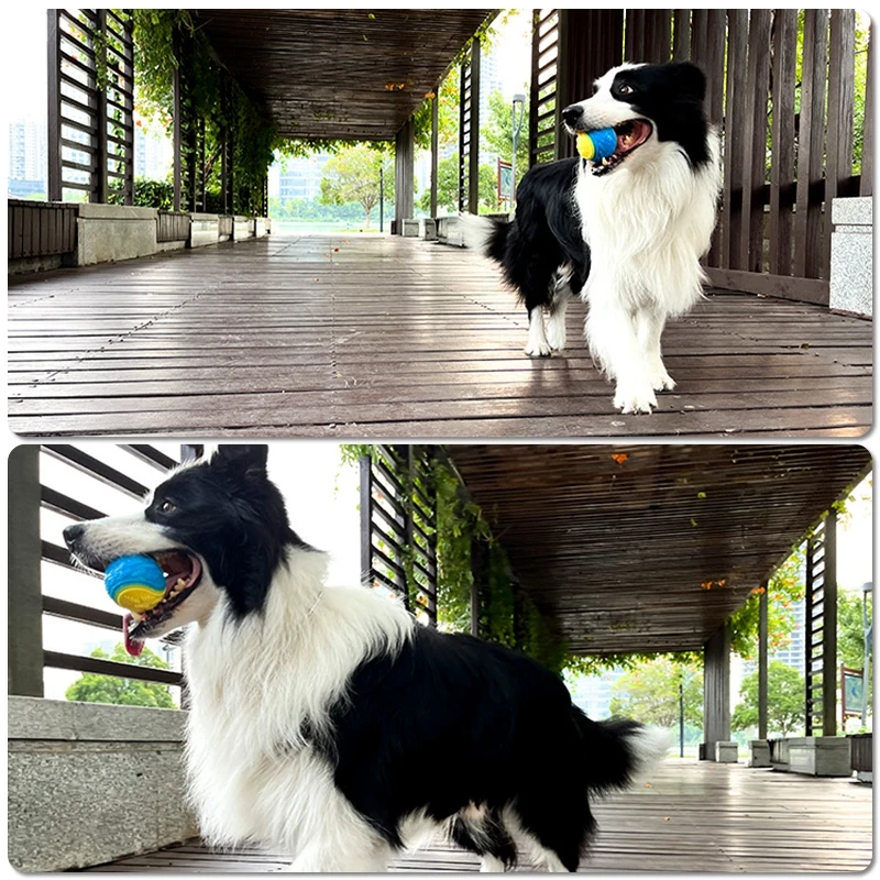 New Dog Toy Ball Squeaky Bite-resistant Ball Toy for Dog Pet Teeth Cleaning Toy Random Color Interactive Ball Toys for Dogs
New Dog Toy Ball Squeaky Bite-resistant Ball Toy for Dog Pet Teeth Cleaning Toy Random Color Interactive Ball Toys for Dogs