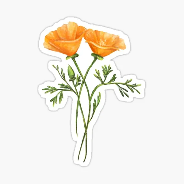 California Wildflowers 5PCS Stickers for Car Stickers Art Room Water Bottles Cute Window Decorations Luggage Decor Wall Anime
California Wildflowers 5PCS Stickers for Car Stickers Art Room Water Bottles Cute Window Decorations Luggage Decor Wall Anime