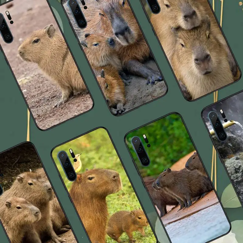 Capybara animal pattern Phone Case For Huawei honor Mate 10 20 30 40 i 9 8 pro x Lite P smart 2019 Y5 2018 nova 5t
Capybara animal pattern Phone Case For Huawei honor Mate 10 20 30 40 i 9 8 pro x Lite P smart 2019 Y5 2018 nova 5t