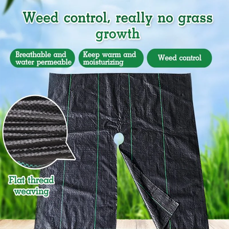 Thickening Agricultural Anti Grass Cloth Farm-oriented Weed Barrier Mat PP Mulch Thicker Orchard Garden Weed Control Fabric
Thickening Agricultural Anti Grass Cloth Farm-oriented Weed Barrier Mat PP Mulch Thicker Orchard Garden Weed Control Fabric