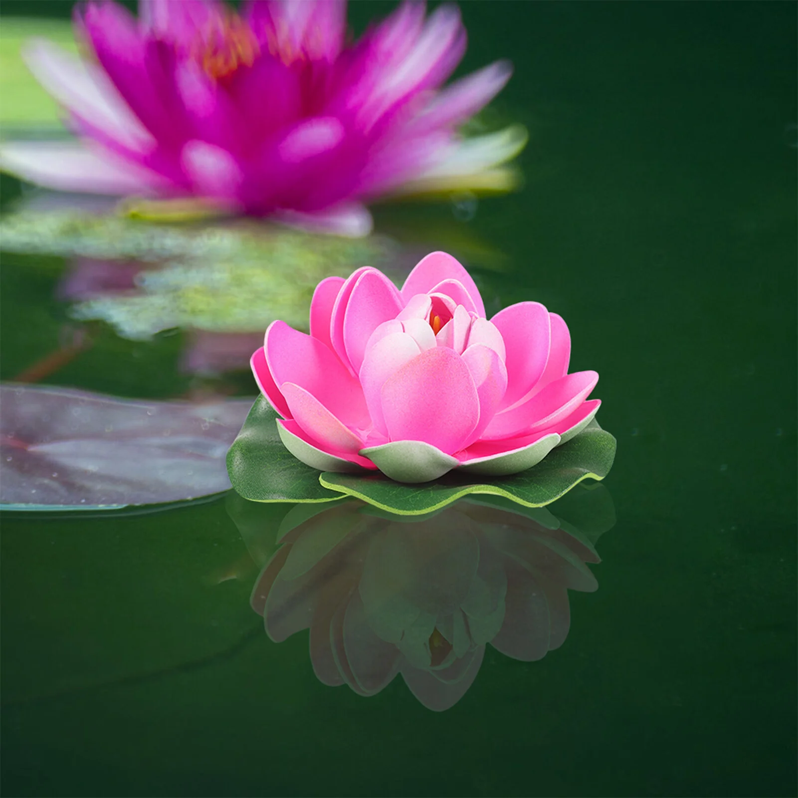 5 Pcs Simulation Lotus Leaf Fish Bowl Decorations Small Little Water Lily Decoration Ornaments Foam Artificial Floating
5 Pcs Simulation Lotus Leaf Fish Bowl Decorations Small Little Water Lily Decoration Ornaments Foam Artificial Floating