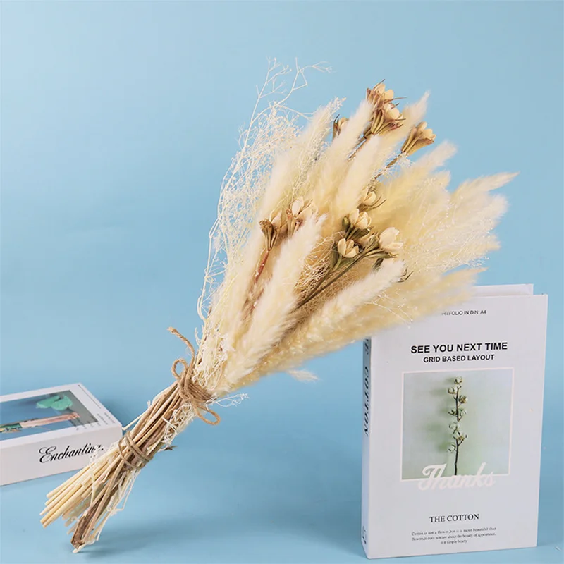 30pcs Dried Pampas Grass Premium Dry Bouquet Gypsophile with Naturally Pampa for Boho Home Decor Wedding Decoration Arrangement
30pcs Dried Pampas Grass Premium Dry Bouquet Gypsophile with Naturally Pampa for Boho Home Decor Wedding Decoration Arrangement