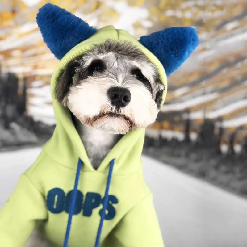 Dog clothes autumn and winter clothes cotton small dogs summer Teddy Chenery Pomeranian VIP cats padded pet sweater
Dog clothes autumn and winter clothes cotton small dogs summer Teddy Chenery Pomeranian VIP cats padded pet sweater