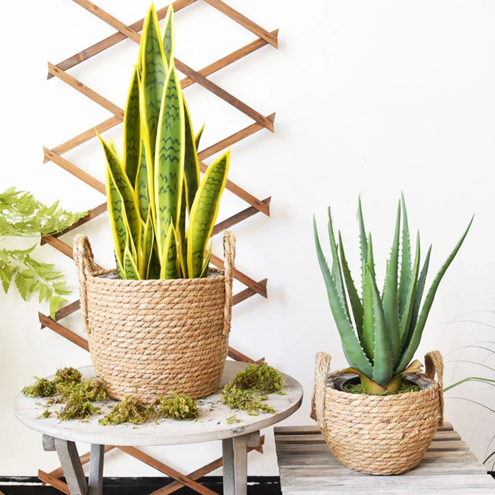 Handmade Woven Storage Basket Desktop Sundries Cosmetics Toys Storage Box Laundry Basket Garden Flower Pot Plant Basket
Handmade Woven Storage Basket Desktop Sundries Cosmetics Toys Storage Box Laundry Basket Garden Flower Pot Plant Basket