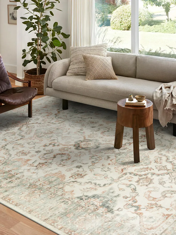 American Pastoral Style Flower Print Crystal Velvet Carpet Large Size Living Room Rug Outdoor Corridor Doormat Home Decoration
American Pastoral Style Flower Print Crystal Velvet Carpet Large Size Living Room Rug Outdoor Corridor Doormat Home Decoration