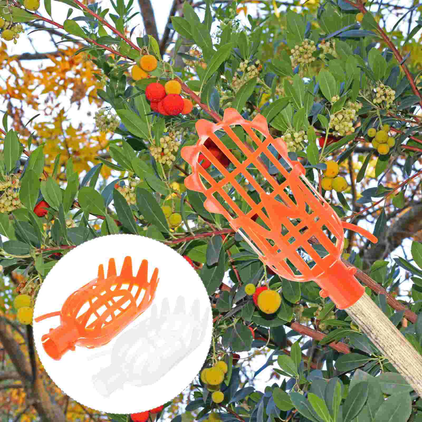 2pcs Fruit Picker Baskets Garden Fruits Tree Catcher Orange Mango Picker Without Pole
2pcs Fruit Picker Baskets Garden Fruits Tree Catcher Orange Mango Picker Without Pole