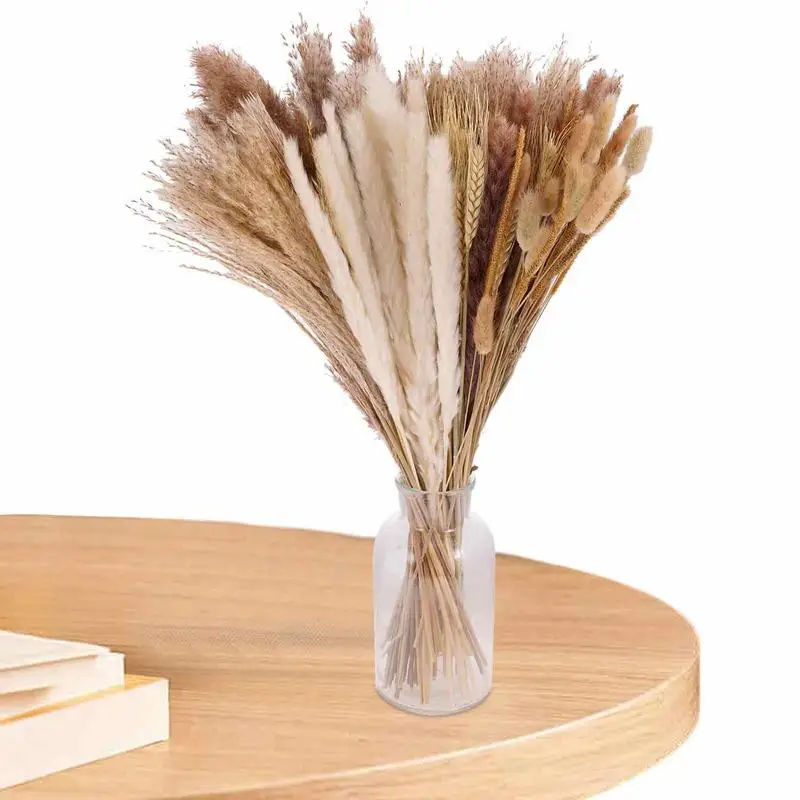Fall Pampas Grass Decor Dry Flowers For Decoration 100Pcs Artificial Flowers Farmhouse Table Decor Flowers Shaggy Fall Coffee
Fall Pampas Grass Decor Dry Flowers For Decoration 100Pcs Artificial Flowers Farmhouse Table Decor Flowers Shaggy Fall Coffee