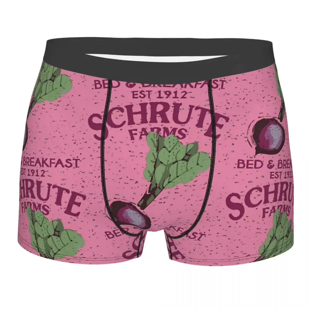 The Office Schrute Farms Bed And Breakfast Man's Boxer Briefs Art Highly Breathable Underpants Print Shorts Gift Idea
The Office Schrute Farms Bed And Breakfast Man's Boxer Briefs Art Highly Breathable Underpants Print Shorts Gift Idea