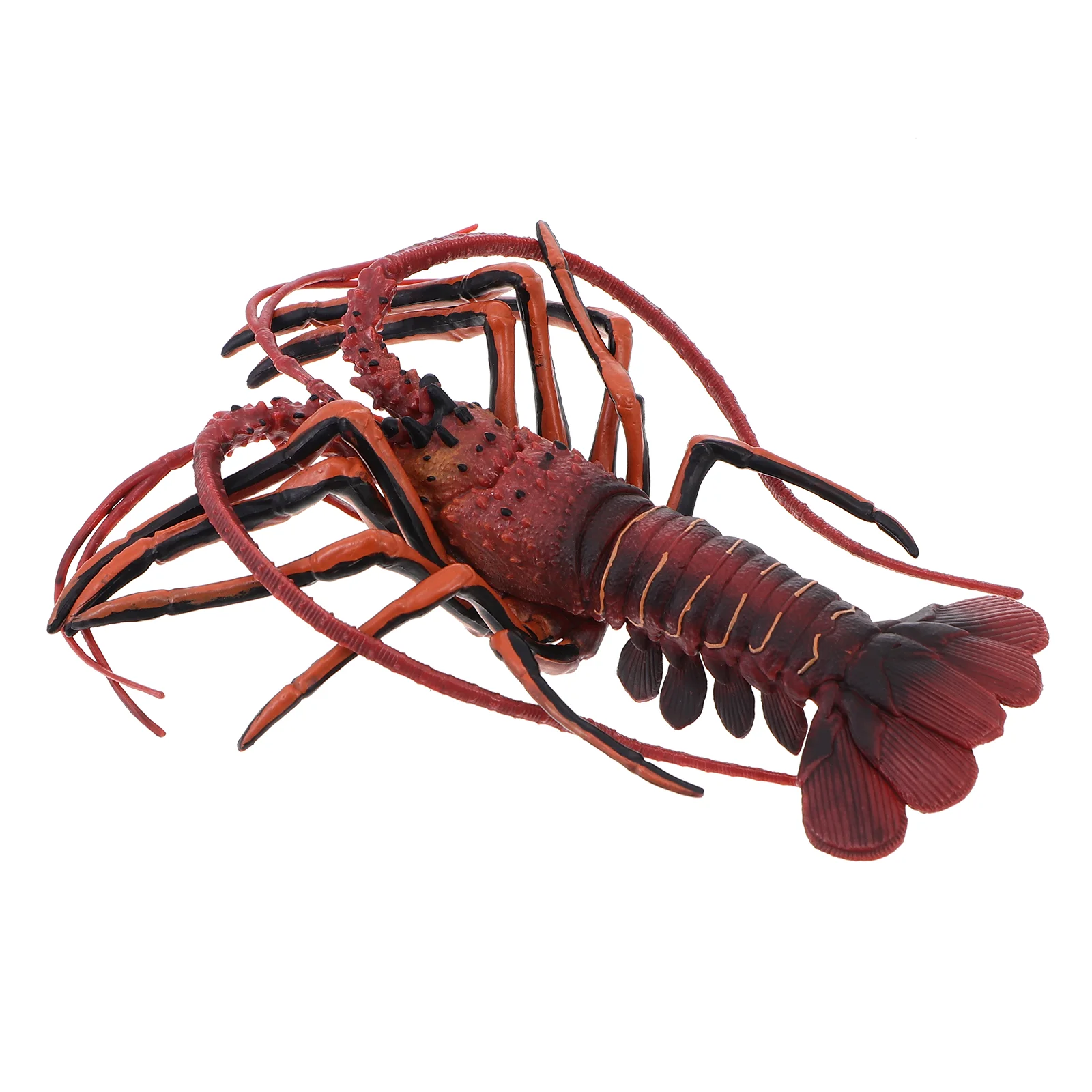 

Lobster Model Marine Creature Craft Kids Interactive Toy Sea Animal Science Cognitive Simulation Plaything Jumbo Animals
