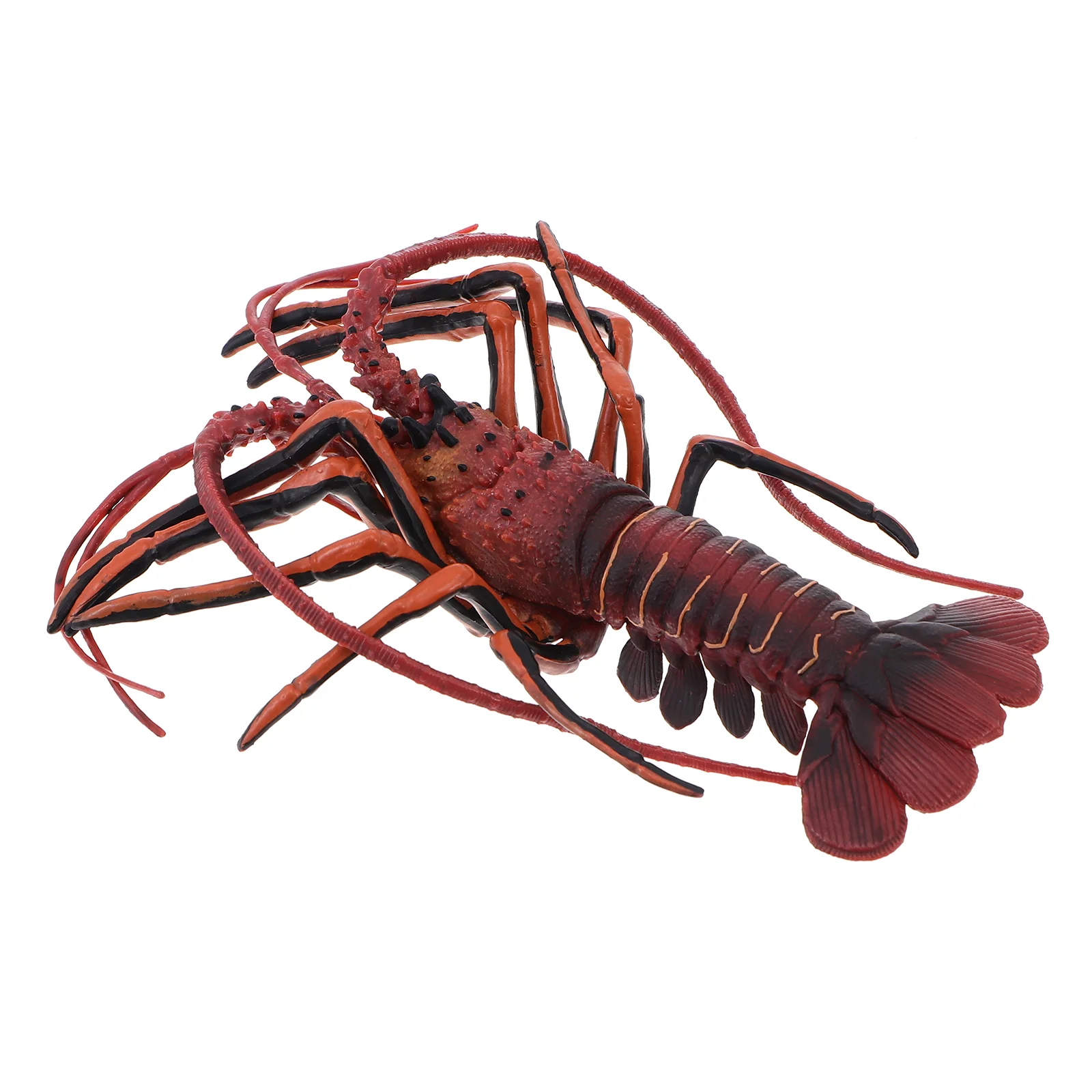 Lobster Model Marine Creature Craft Kids Interactive Toy Sea Animal Science Cognitive Simulation Plaything Jumbo Animals
Lobster Model Marine Creature Craft Kids Interactive Toy Sea Animal Science Cognitive Simulation Plaything Jumbo Animals
