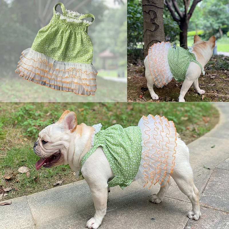 2022 Dog Costume Summer Dress for Small Dog Skirt French Bulldog Clothing Teddy Skirt Corgi Poodle Pug Pomeranian Cat Pet Dress
2022 Dog Costume Summer Dress for Small Dog Skirt French Bulldog Clothing Teddy Skirt Corgi Poodle Pug Pomeranian Cat Pet Dress