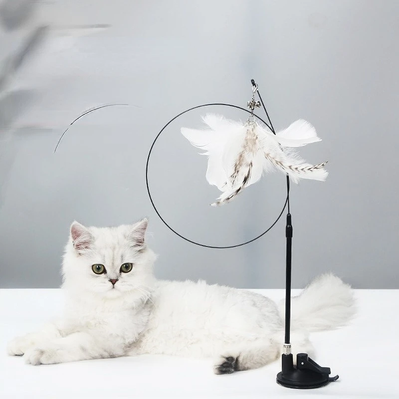 Simulation Bird interactive Cat Toy Funny Feather Bird Spring Cat Stick Toy for Kitten Playing Teaser Wand Toy Cat Supplies
Simulation Bird interactive Cat Toy Funny Feather Bird Spring Cat Stick Toy for Kitten Playing Teaser Wand Toy Cat Supplies