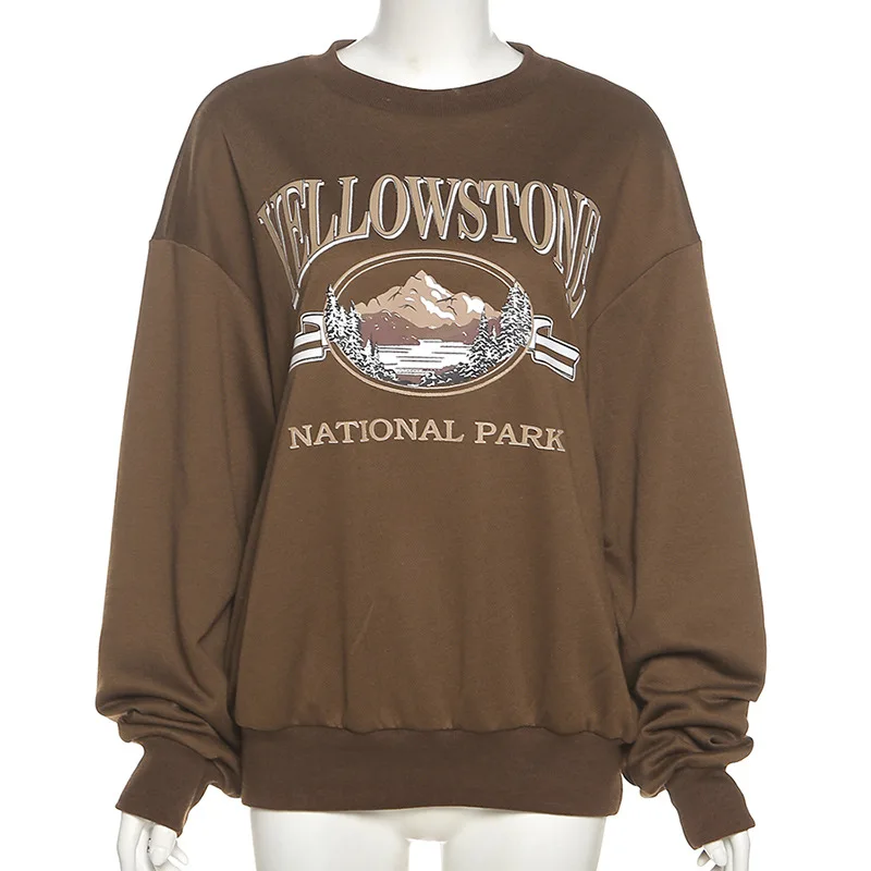 FEZCO 2022 Spring Embroidery Printing O-neck Sweatshirt Women Letter Oversized Long Sleeve BTS Sweatshirt Women Female Clothes
FEZCO 2022 Spring Embroidery Printing O-neck Sweatshirt Women Letter Oversized Long Sleeve BTS Sweatshirt Women Female Clothes