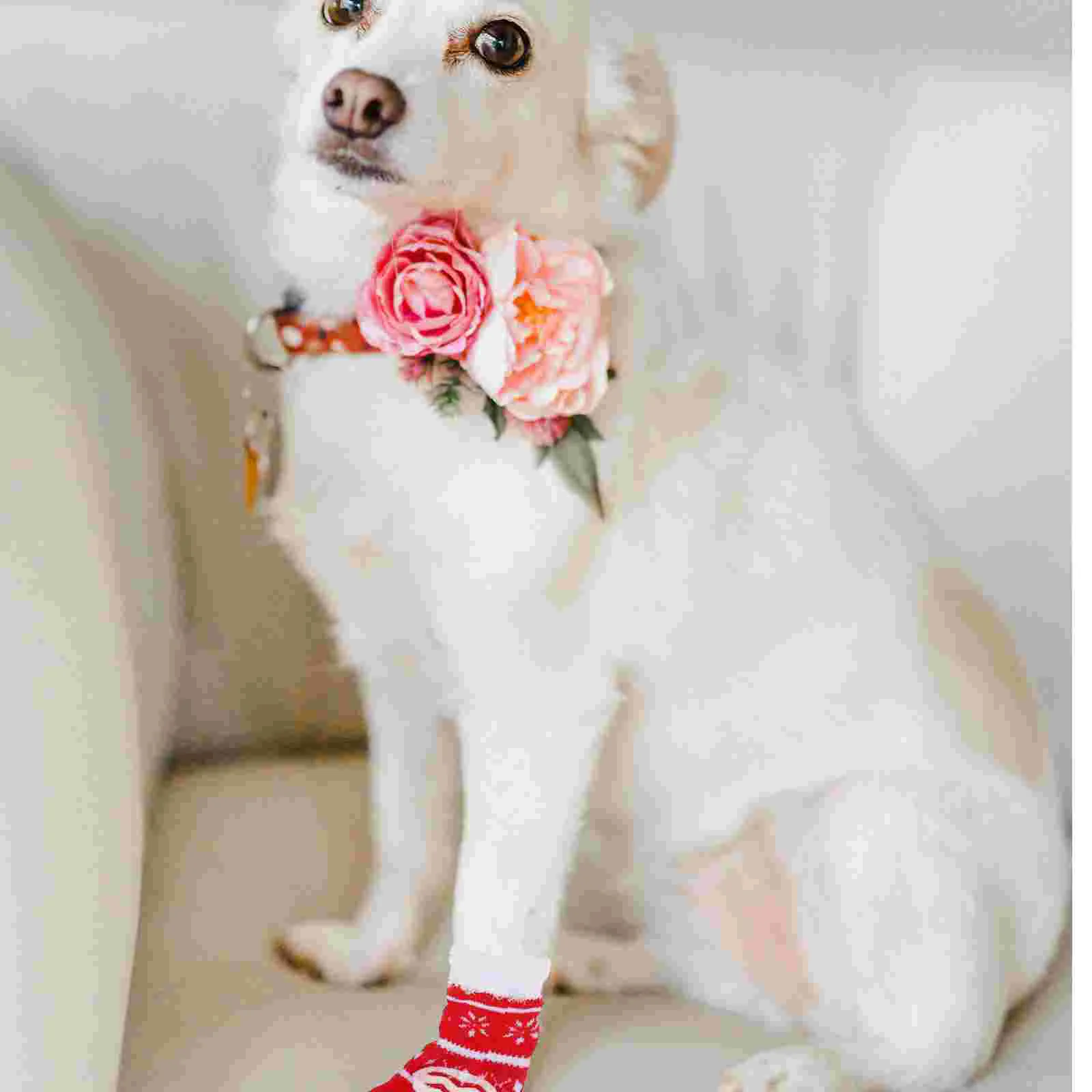 Socks Dog Pet Warm Puppychristmas Knitted Costume Non Foot Doge Cotton Santa Shoes Pets Antistockings Boots Protector Paw Sock
Socks Dog Pet Warm Puppychristmas Knitted Costume Non Foot Doge Cotton Santa Shoes Pets Antistockings Boots Protector Paw Sock