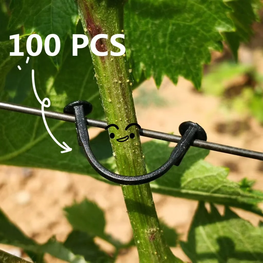 100PCS Plastic Plant Clips Plants Grafting Fixing Tool for Vegetable Fruit Grape Vine Climbing Support Garden Reusable Supplies
100PCS Plastic Plant Clips Plants Grafting Fixing Tool for Vegetable Fruit Grape Vine Climbing Support Garden Reusable Supplies
