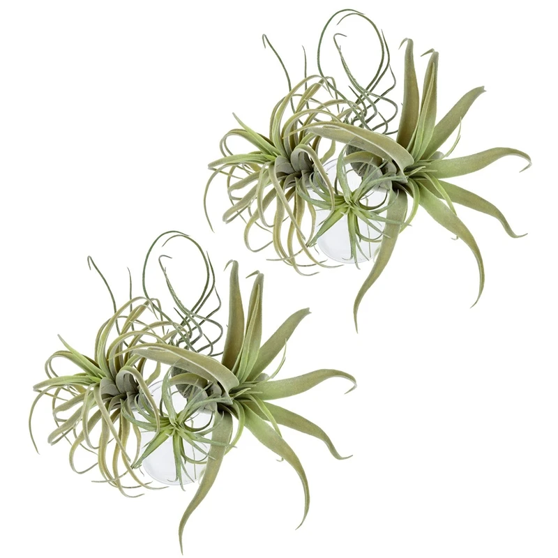 8Pack Artificial Pineapple Grass Air Plants Fake Flowers Faux Flocking Tillandsia Bromeliads Home Garden Decor
8Pack Artificial Pineapple Grass Air Plants Fake Flowers Faux Flocking Tillandsia Bromeliads Home Garden Decor