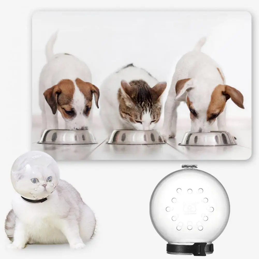 Anti-Licking Grooming Mask Protective Space Hood Cat Muzzle Cat Grooming Supplies Bath Grooming Anti-Bite Cat Space Hood
Anti-Licking Grooming Mask Protective Space Hood Cat Muzzle Cat Grooming Supplies Bath Grooming Anti-Bite Cat Space Hood