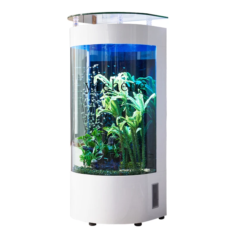 XL Semicircle Fish Tank Semicircle Floor Glass Fish Globe Ecological Change Water
XL Semicircle Fish Tank Semicircle Floor Glass Fish Globe Ecological Change Water