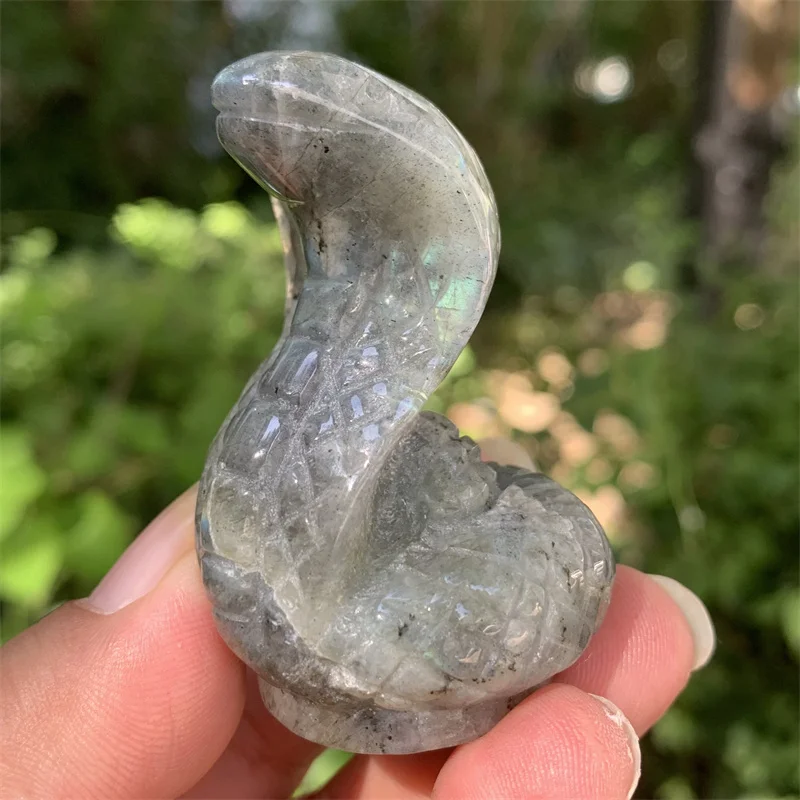 1PC Natural Labradorite Snake Carving High Quality Flashing Crystals Crafts Beautiful Gemstone For Home Decoration
1PC Natural Labradorite Snake Carving High Quality Flashing Crystals Crafts Beautiful Gemstone For Home Decoration