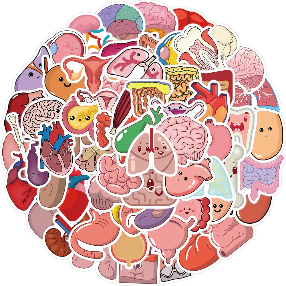 50pcs Cartoon organ Stickers For Suitcase Skateboard Laptop Luggage Fridge Phone Car Styling Sticker
50pcs Cartoon organ Stickers For Suitcase Skateboard Laptop Luggage Fridge Phone Car Styling Sticker