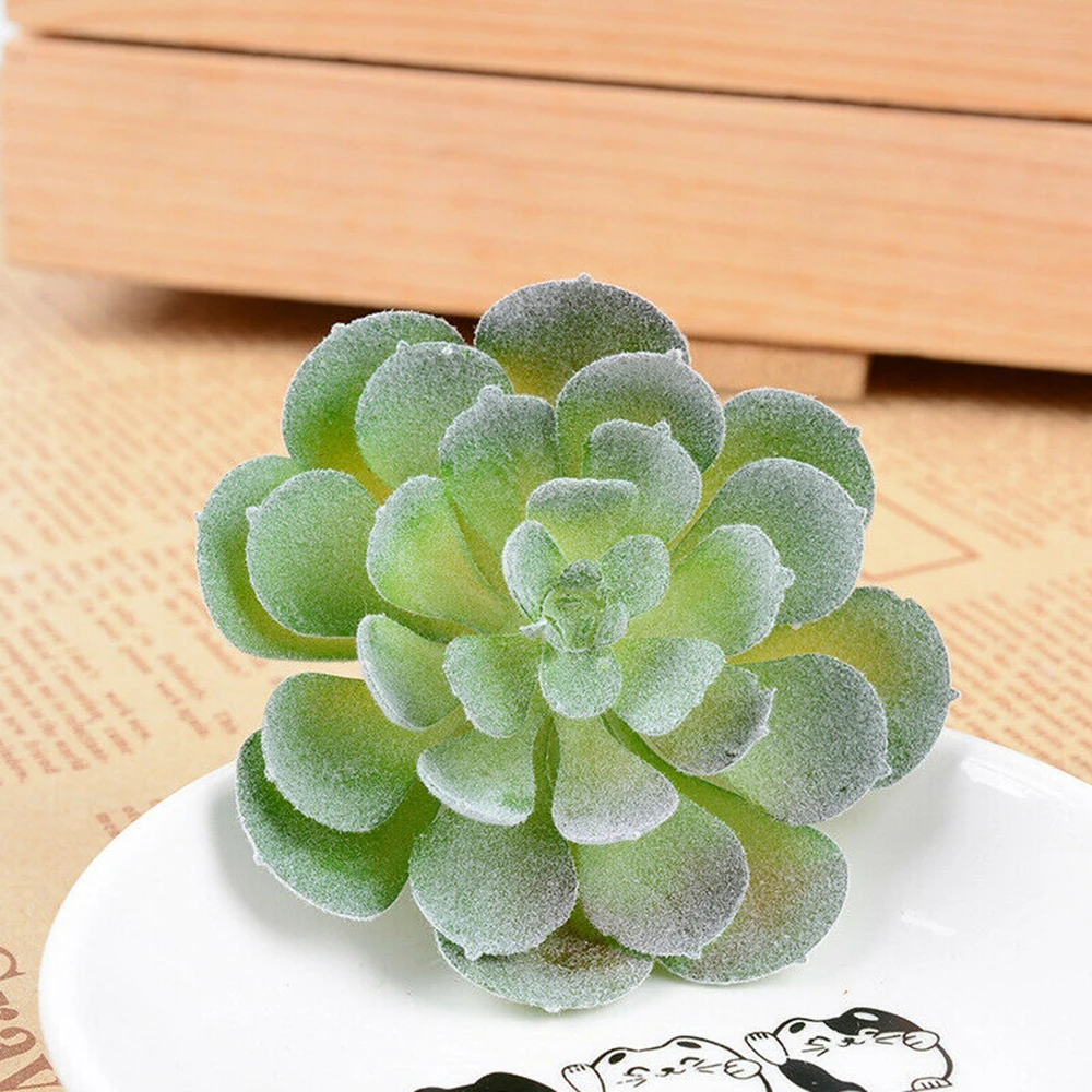 Смешанные Искусственные суккуленты, 12 шт., искусственные растения, искусственные растения, садовые, домашние и офисные миниатюрные украшения, подарок, орнамент для друга
Смешанные Искусственные суккуленты, 12 шт., искусственные растения, искусственные растения, садовые, домашние и офисные миниатюрные украшения, подарок, орнамент для друга