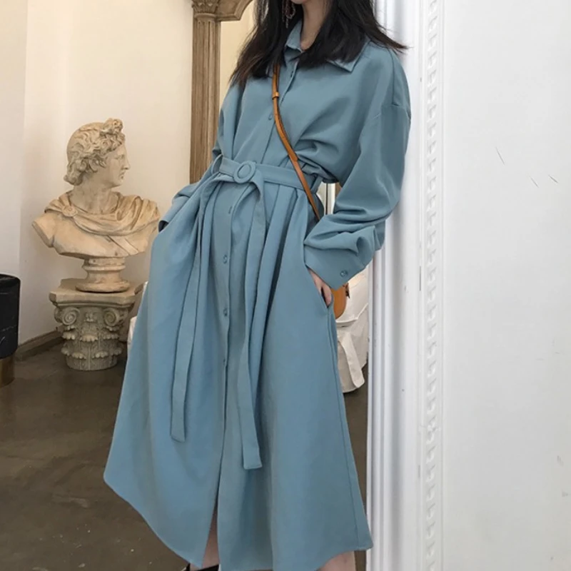 Spring Elegant Casual A-Line Midi Women's Shirt Dress Long Sleeve Outerwear Party Vestidos Female Fashion Vintage Clothes 2022
Spring Elegant Casual A-Line Midi Women's Shirt Dress Long Sleeve Outerwear Party Vestidos Female Fashion Vintage Clothes 2022