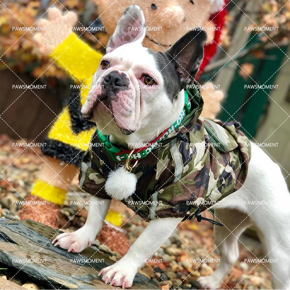Pet Dog Clothes Fashion Windproof and Rainproof Dog Hoodie Jacket Large Dog Camouflage Pet Raincoat French Bulldog Clothing N-
Pet Dog Clothes Fashion Windproof and Rainproof Dog Hoodie Jacket Large Dog Camouflage Pet Raincoat French Bulldog Clothing N-