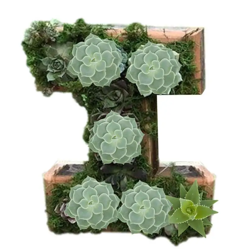 Creative Flower Pots Letter Succulent Pot Set Succulent Planters Decorative Wooden Flower Plant For Indoor Home Office Desktop
Creative Flower Pots Letter Succulent Pot Set Succulent Planters Decorative Wooden Flower Plant For Indoor Home Office Desktop
