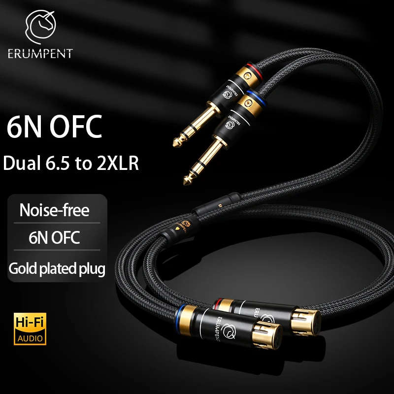 ERUMPENT HIFI 6.35 mm TRS Male to XLR Male Audio Stereo Cable 6.5 mm 1/4 Inch Male to XLR Male Balanced Speaker Mic Cable
ERUMPENT HIFI 6.35 mm TRS Male to XLR Male Audio Stereo Cable 6.5 mm 1/4 Inch Male to XLR Male Balanced Speaker Mic Cable