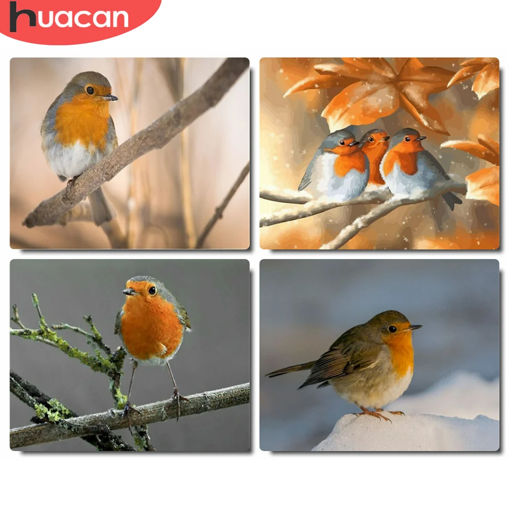 HUACAN Picture By Number Bird Kits DIY Oil Painting By Numbers Animal On Canvas HandPainted Decoration Unique Gift
HUACAN Picture By Number Bird Kits DIY Oil Painting By Numbers Animal On Canvas HandPainted Decoration Unique Gift