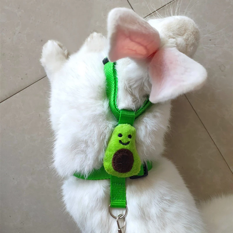 Pet Cat Chest Strap Harness Cute Little Doll Anti-stroke Breathable Dog Traction Rope Adjustable Walking Rope Pet Accessories
Pet Cat Chest Strap Harness Cute Little Doll Anti-stroke Breathable Dog Traction Rope Adjustable Walking Rope Pet Accessories