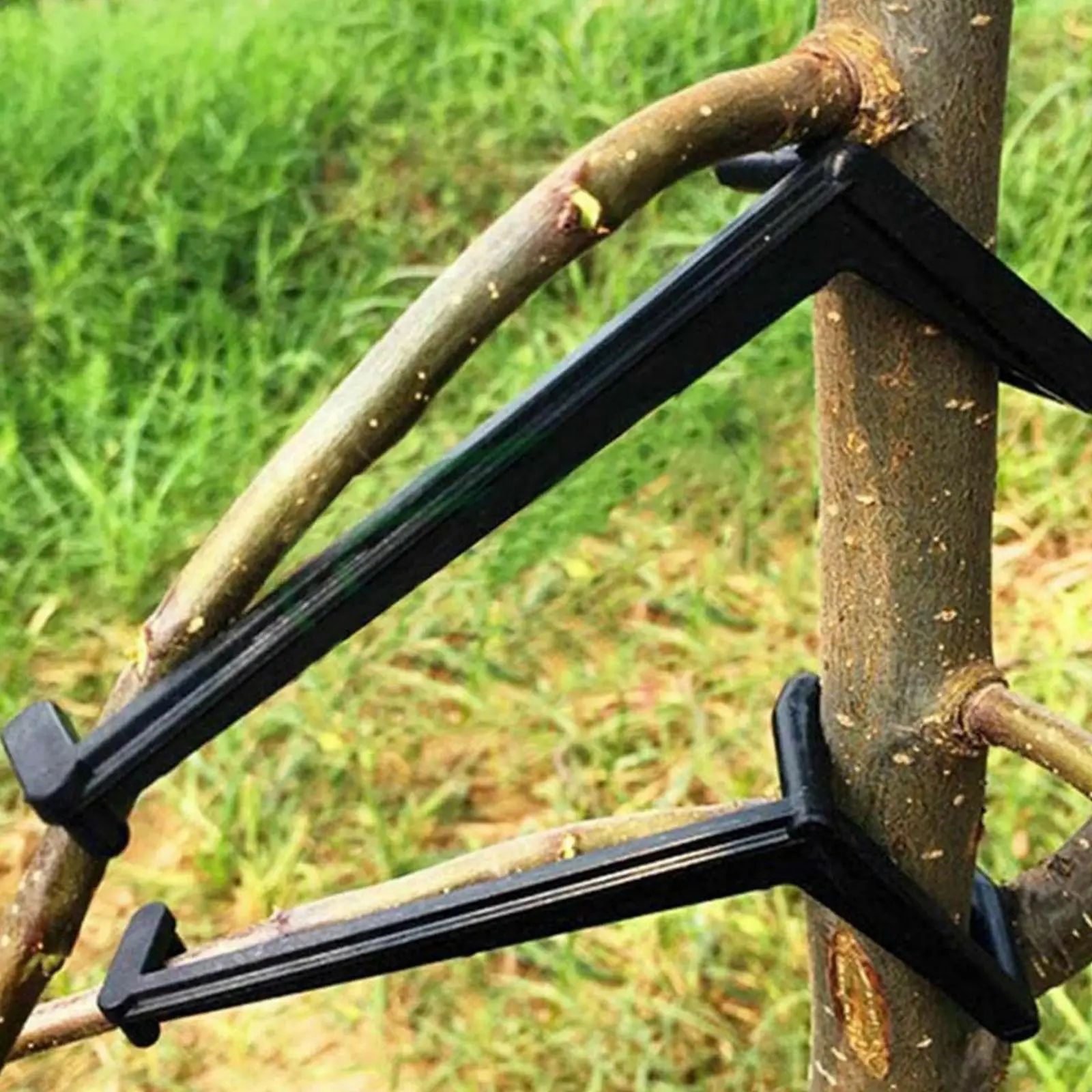 10/13CM Fruit Tree Branches Holder Fruit Branch Spreader Tree Branch Support Frame Plastic Fruit Tree Pressure Branch Supporter 
10/13CM Fruit Tree Branches Holder Fruit Branch Spreader Tree Branch Support Frame Plastic Fruit Tree Pressure Branch Supporter