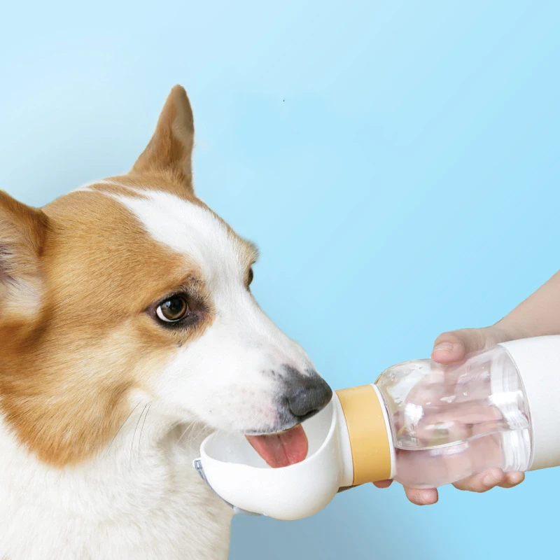 Бутылка для воды для домашних животных, миска для подачи воды, портативная бутылка для воды, для домашних животных, для путешествий, для пить...
Бутылка для воды для домашних животных, миска для подачи воды, портативная бутылка для воды, для домашних животных, для путешествий, для пить...