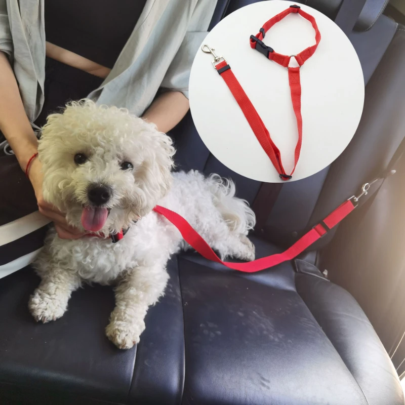 Solid Anti-shock Two-in-one Pet Car Seat Belt Dog Harness Leash with Clip Backseat Safety Belt Kitten Collar Pet Accessories
Solid Anti-shock Two-in-one Pet Car Seat Belt Dog Harness Leash with Clip Backseat Safety Belt Kitten Collar Pet Accessories