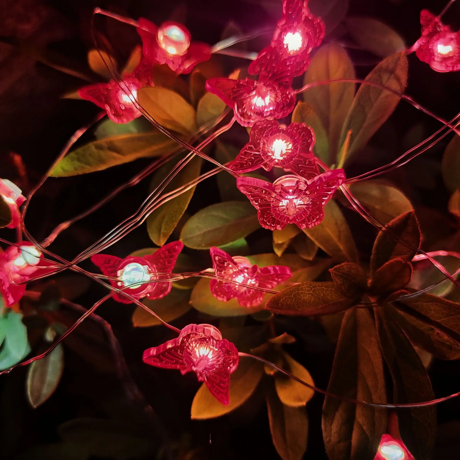 20/30 Lights Butterfly Holiday Garland for Wedding Party Decor Christmas Fairy Copper Wire Light String Indoor Room Decoration
20/30 Lights Butterfly Holiday Garland for Wedding Party Decor Christmas Fairy Copper Wire Light String Indoor Room Decoration