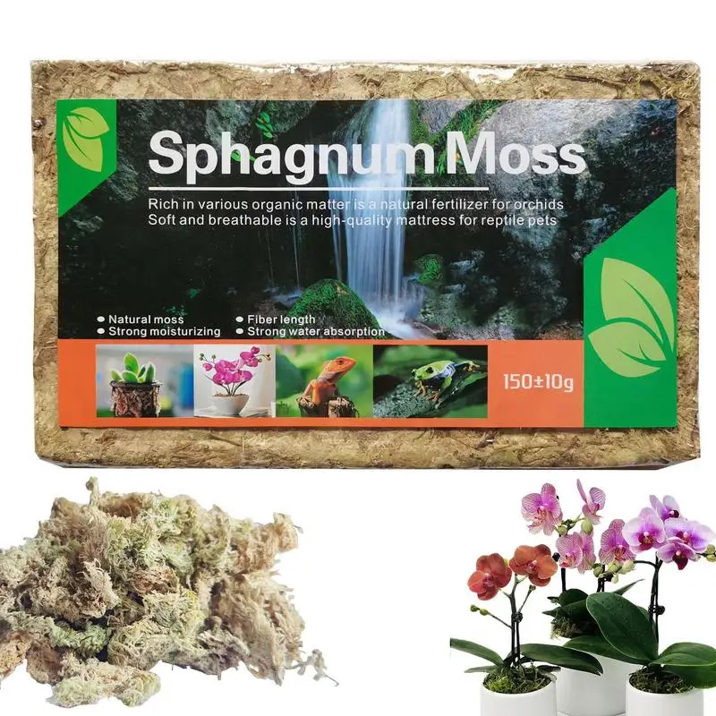 Natural Sphagnum Moss Moisturizing Nutrition Organic Fertilizer Orchid Potting Gardening Plant Root Nutrition Organic Fertilizer
Natural Sphagnum Moss Moisturizing Nutrition Organic Fertilizer Orchid Potting Gardening Plant Root Nutrition Organic Fertilizer