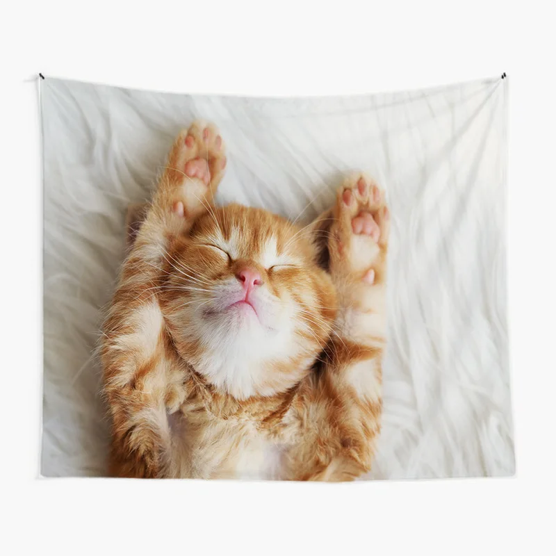 Cartoon Cute Animals Decoration Kitty Home Decor Blanket Tapestry Wall Cloth Sofa Sets Aesthetic Room Decor Carpet Curtains Rugs
Cartoon Cute Animals Decoration Kitty Home Decor Blanket Tapestry Wall Cloth Sofa Sets Aesthetic Room Decor Carpet Curtains Rugs