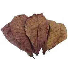 Aquarium Catappa Leaves Betta Fish Indians Almond Leaves For Reduce PH Softened Purified Water Quality Fish Tank Conditioner