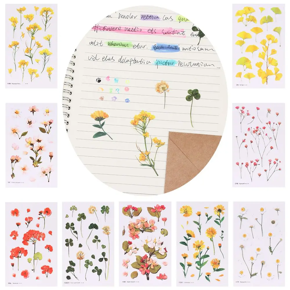 Natural Daisy Flowers Stickers Korean Style Stationery Decal Scrapbook Stickers Decor Transparent PET Material Decorative Label
Natural Daisy Flowers Stickers Korean Style Stationery Decal Scrapbook Stickers Decor Transparent PET Material Decorative Label