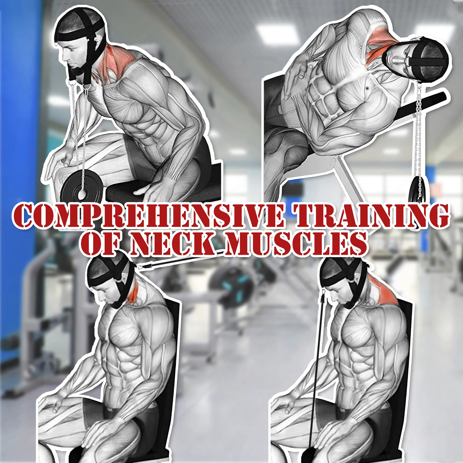 Neck Workout Builder Head Harness Neck Strap Neck Workout Builder Equipment With Adjustable Long Steel Chain And Strap Improve 
Neck Workout Builder Head Harness Neck Strap Neck Workout Builder Equipment With Adjustable Long Steel Chain And Strap Improve