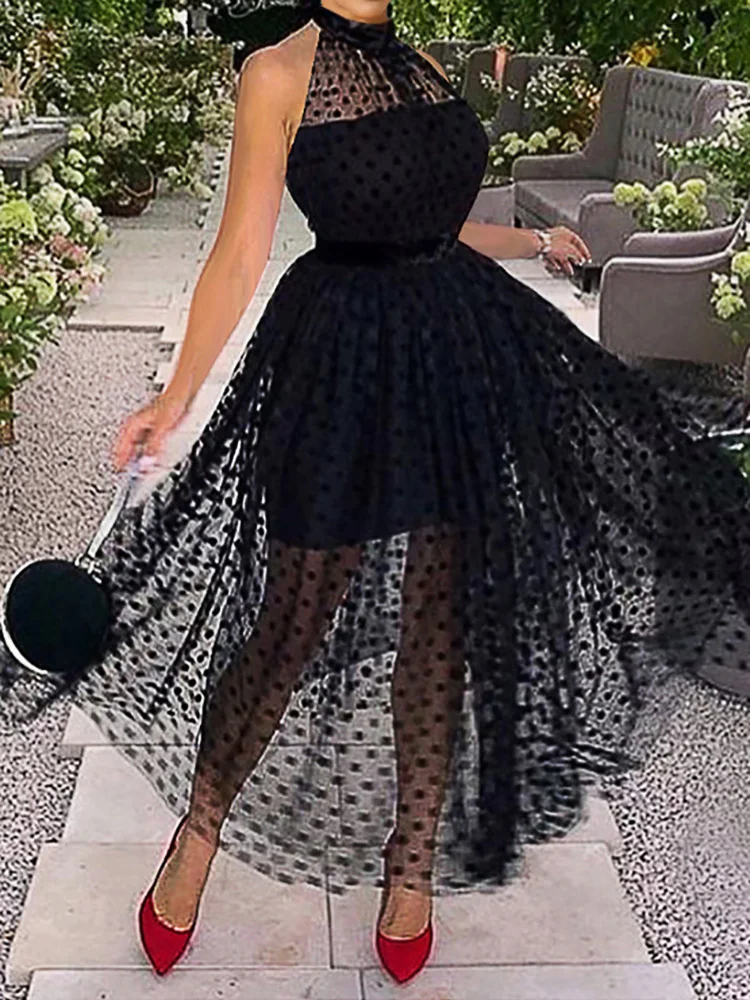 Black Polka Dot Patchwork Mesh See-Though Sexy Dresses for Women Summer Robe Femme Halter Neck Sleeveless Casual Maxi Vestido
Black Polka Dot Patchwork Mesh See-Though Sexy Dresses for Women Summer Robe Femme Halter Neck Sleeveless Casual Maxi Vestido