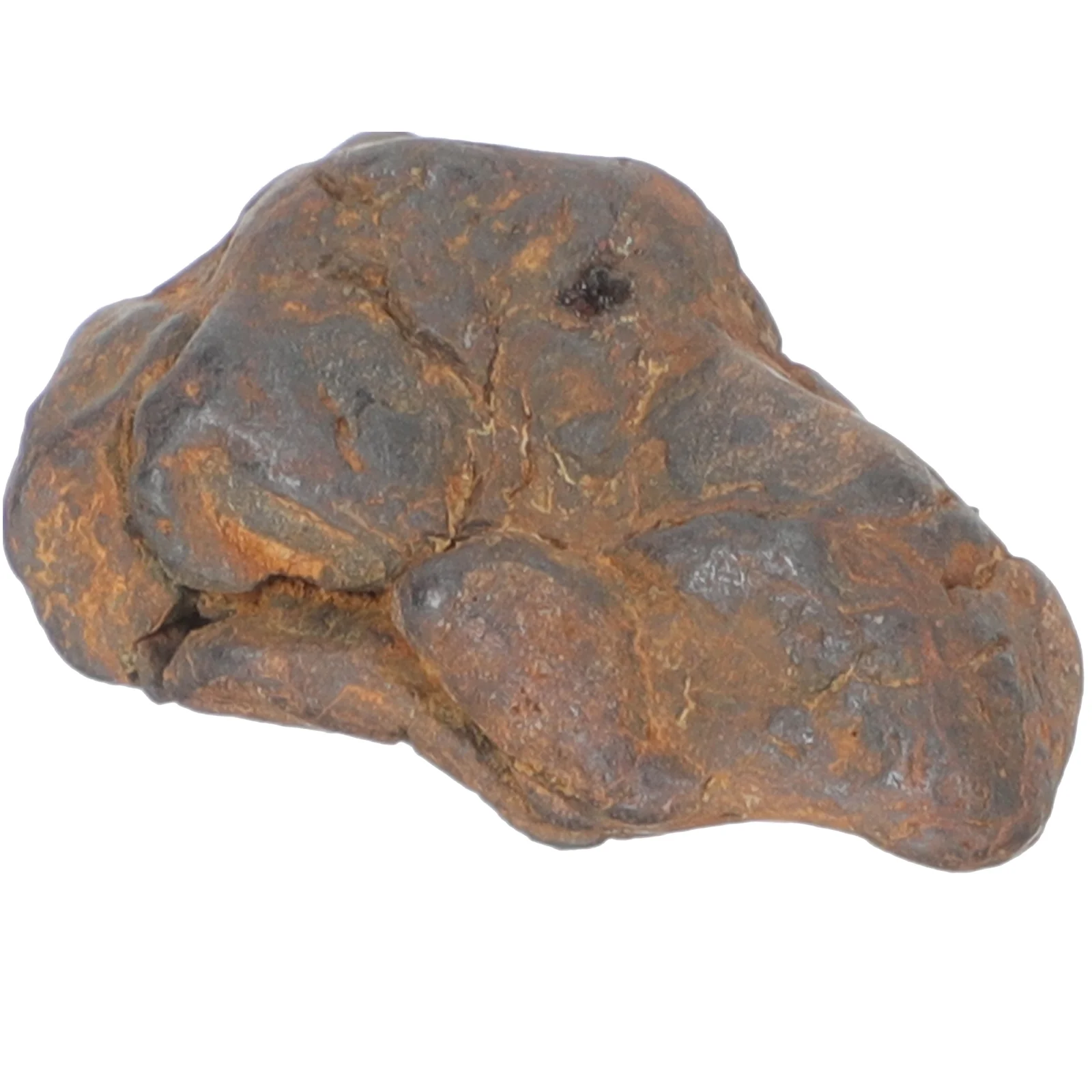 Meteorite Space Minerals Specimen Sample Gift Real Mirrors Learning Geology Science Decorative Fans Wall Toy Model Moon Teaching
Meteorite Space Minerals Specimen Sample Gift Real Mirrors Learning Geology Science Decorative Fans Wall Toy Model Moon Teaching