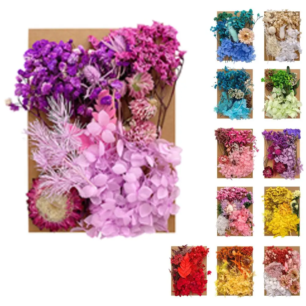 1 Bag Dried Flowers Pressed Dry Flower For DIY Phone Case Epoxy Resin Filling Pendant Jewelry Making Crafts Nail Art Decor
1 Bag Dried Flowers Pressed Dry Flower For DIY Phone Case Epoxy Resin Filling Pendant Jewelry Making Crafts Nail Art Decor